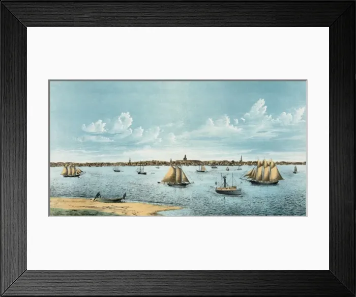 Framed Print : Provincetown. from Long Point Framed Print : Provincetown. from Long Point