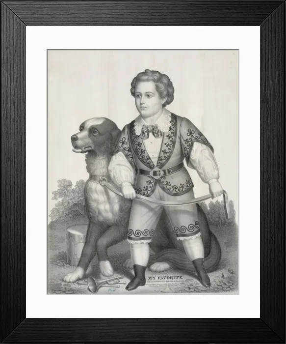 Framed Print : My favorite Framed Print : My favorite