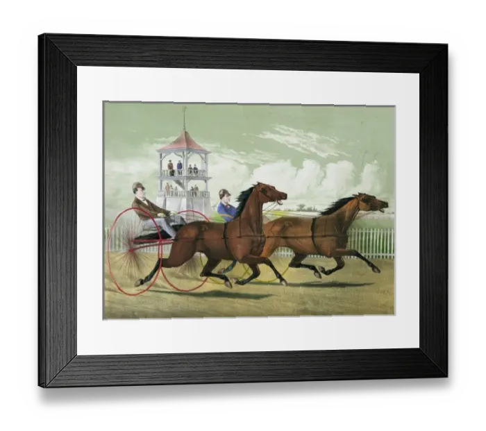 Framed Print : Fast trotting at Mystic Park, Medford, Mass Framed Print : Fast trotting at Mystic Park, Medford, Mass