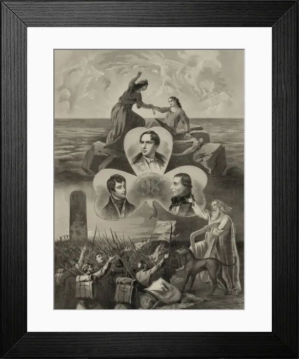 Framed Print : The immortal Shamrock Framed Print : The immortal Shamrock