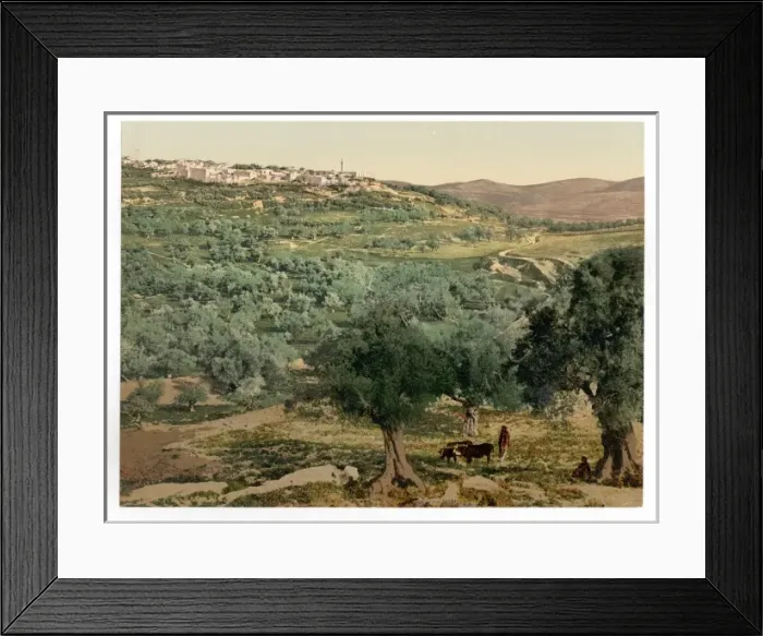 Framed Print : General view, Samaria, Holy Land, (i. e. Sabastiyah, Israel) Framed Print : General view, Samaria, Holy Land, (i. e. Sabastiyah, Israel)