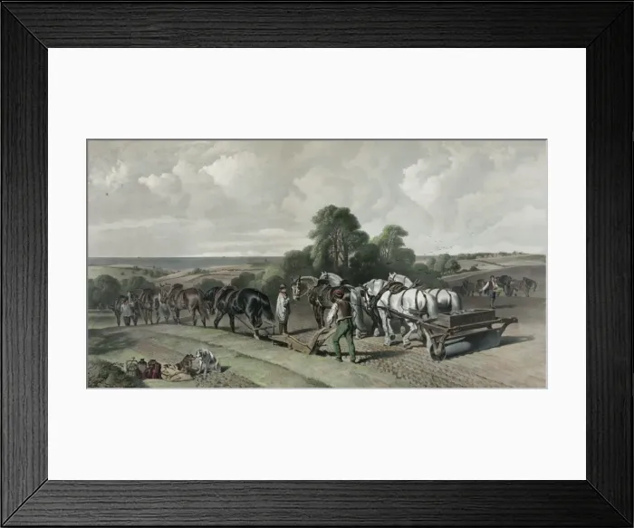 Framed Print : Ploughing Framed Print : Ploughing
