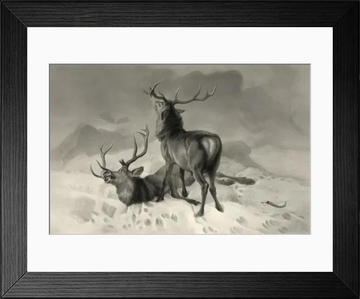 Framed Print : The fatal duel Framed Print : The fatal duel