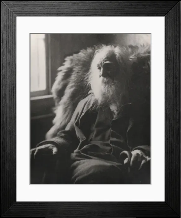 Framed Print : Walt Whitman, half-length portrait, seated by window, facing Framed Print : Walt Whitman, half-length portrait, seated by window, facing