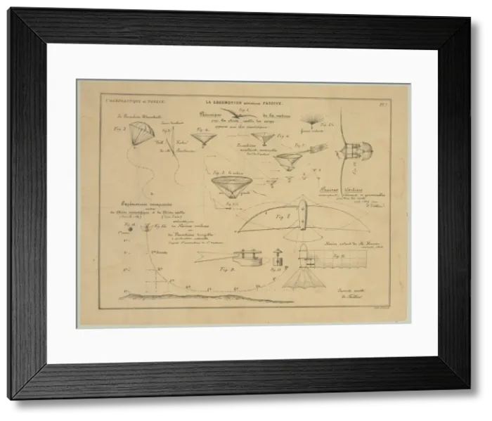 Framed Print : La locomotion aerienne passive. Principes de la nature sur l Framed Print : La locomotion aerienne passive. Principes de la nature sur l