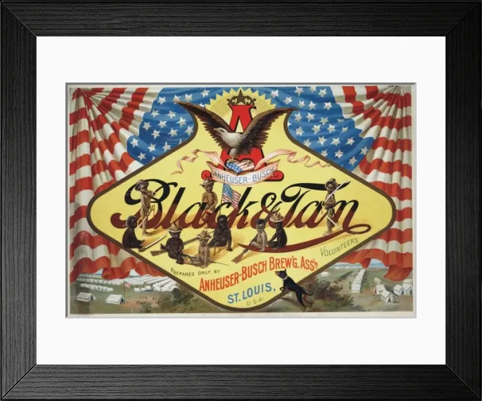 Framed Print : Anheuser-Busch black & tan prepared only by Anheuser-Busch b Framed Print : Anheuser-Busch black & tan prepared only by Anheuser-Busch b