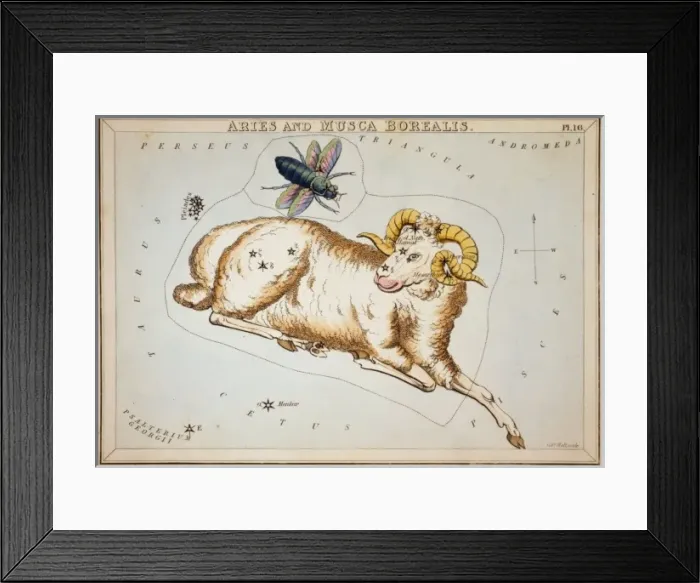Framed Print : Aries and Musca Borealis Framed Print : Aries and Musca Borealis