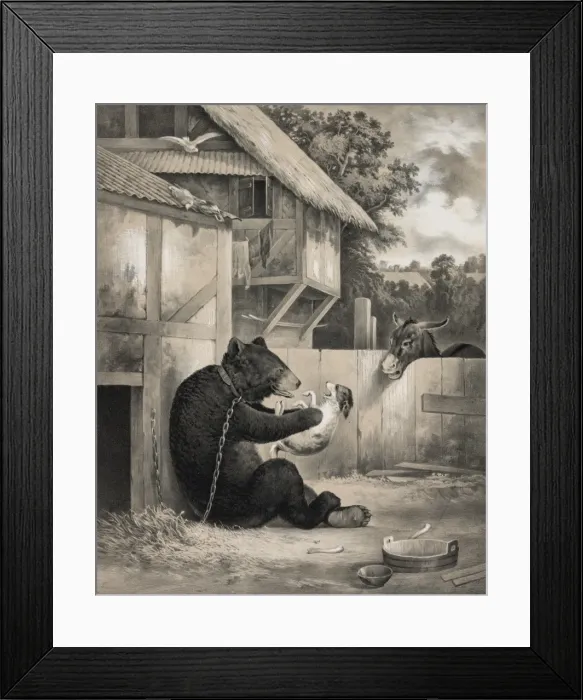 Framed Print : I told you so Framed Print : I told you so