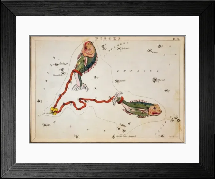 Framed Print : Pisces. Astronomical chart showing two fish tethered with a ribbon forming