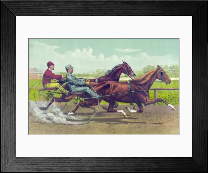 Framed Print : Going for the money Framed Print : Going for the money