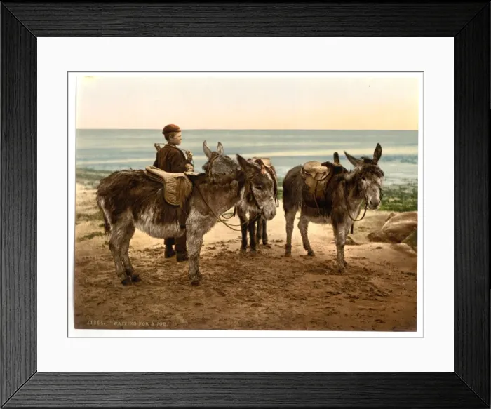 Framed Print : Waiting for a job (donkeys), England Framed Print : Waiting for a job (donkeys), England