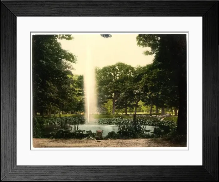 Framed Print : Under the oaks, Harzburg, Hartz, Germany Framed Print : Under the oaks, Harzburg, Hartz, Germany