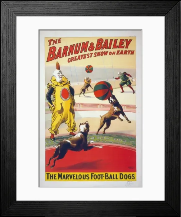 Framed Print : The Barnum & Bailey greatest show on earth. The marvelous f Framed Print : The Barnum & Bailey greatest show on earth. The marvelous f