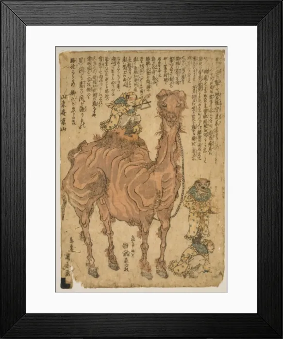 Framed Print : Camel. Japanese print shows a man playing a triangle while seated on the back of a camel Framed Print : Camel. Japanese print shows a man playing a triangle while seated on the back of a camel