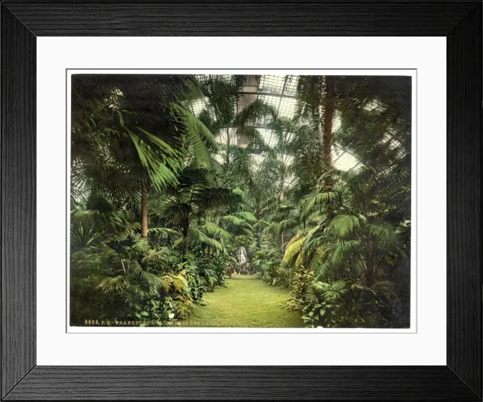 Framed Print : Interior of Palm Houses, Frankfort on Main (i. e. Frankfurt a Framed Print : Interior of Palm Houses, Frankfort on Main (i. e. Frankfurt a