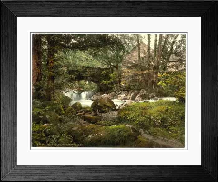 Framed Print : Torrent Walk I, Dolgelly (i. e. Dolgellau), Wales Framed Print : Torrent Walk I, Dolgelly (i. e. Dolgellau), Wales