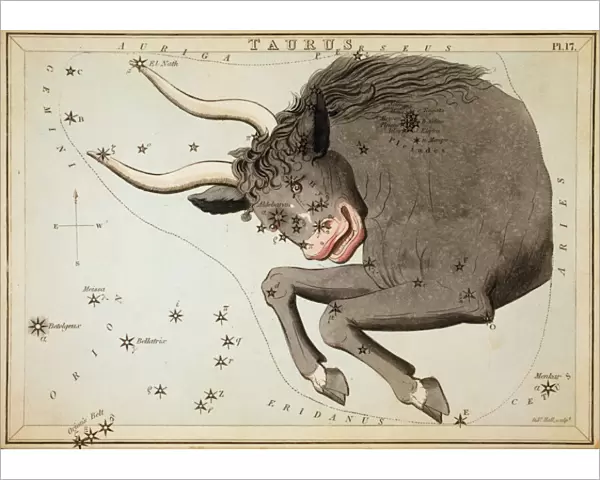 Taurus. Astronomical chart showing the bull Taurus forming the constellation