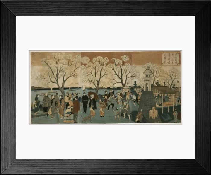 Framed Print : Cherry blossoms in full bloom along Sumida River