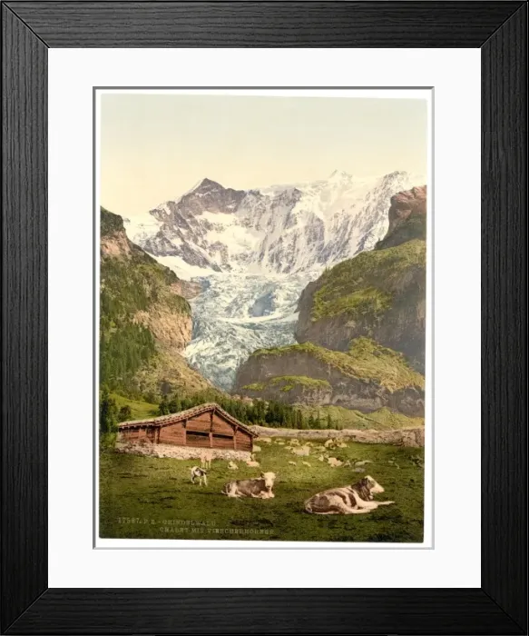 Framed Print : Grindelwald, chalet and Vischerhorn, Bernese Oberland, Switz Framed Print : Grindelwald, chalet and Vischerhorn, Bernese Oberland, Switz