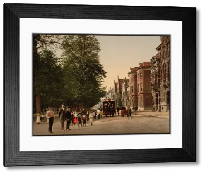 Framed Print : Maliebaan, Utrecht, Holland Framed Print : Maliebaan, Utrecht, Holland