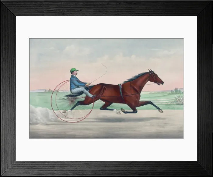 Framed Print : Trinket, by Princeps, dam Ouida, by Rysdyks Hambletonian Framed Print : Trinket, by Princeps, dam Ouida, by Rysdyks Hambletonian