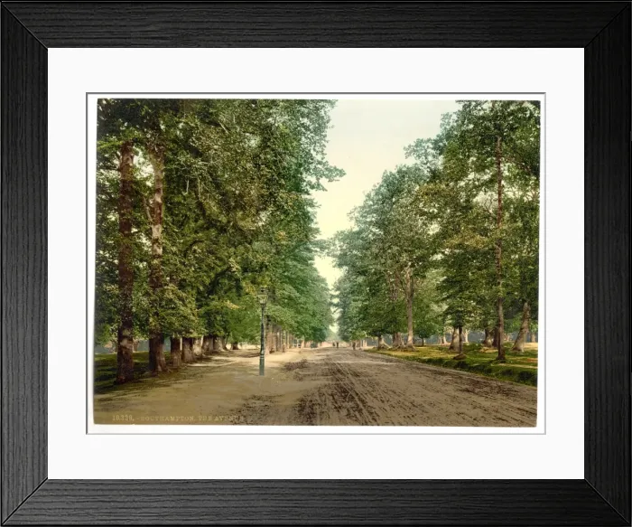 Framed Print : The Avenue, Southampton, England Framed Print : The Avenue, Southampton, England
