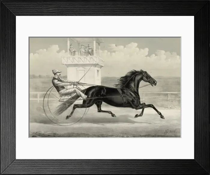 Framed Print : Thomas Jefferson: the black whirlwind of the east Framed Print : Thomas Jefferson: the black whirlwind of the east