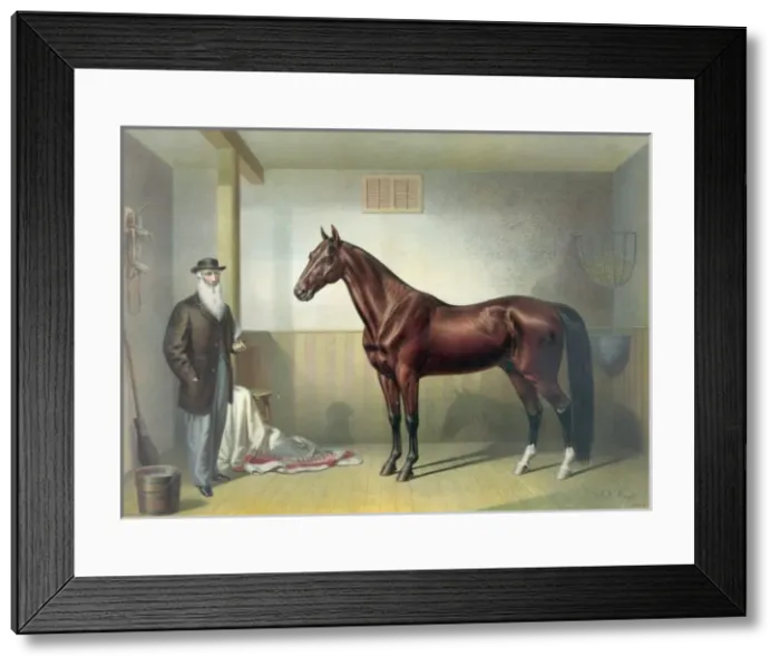 Framed Print : Rysdyks Hambletonian Framed Print : Rysdyks Hambletonian