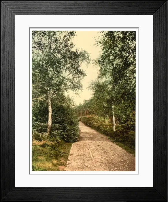 Framed Print : Brackendale, the drive, Camberley, England Framed Print : Brackendale, the drive, Camberley, England