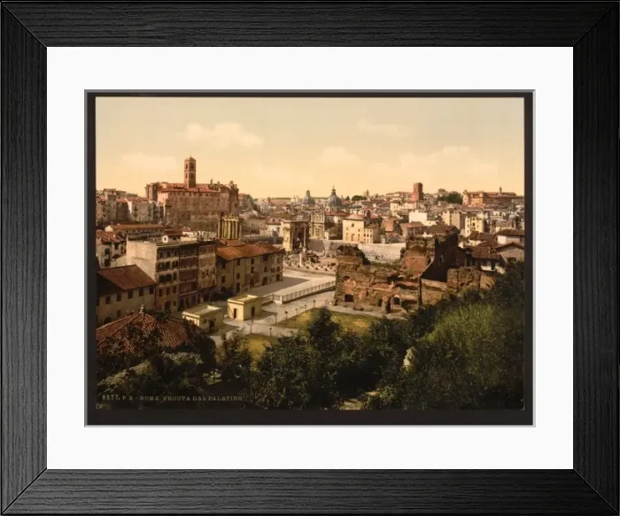 Framed Print : A panorama from the Palatine, Rome, Italy Framed Print : A panorama from the Palatine, Rome, Italy