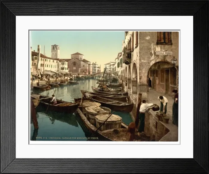 Framed Print : Chioggia, fish market, Venice, Italy Framed Print : Chioggia, fish market, Venice, Italy