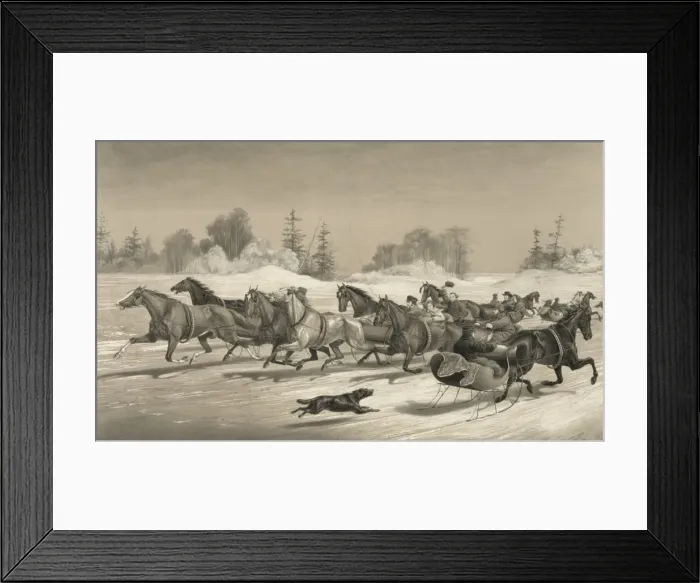 Framed Print : Trotting cracks on the snow Framed Print : Trotting cracks on the snow