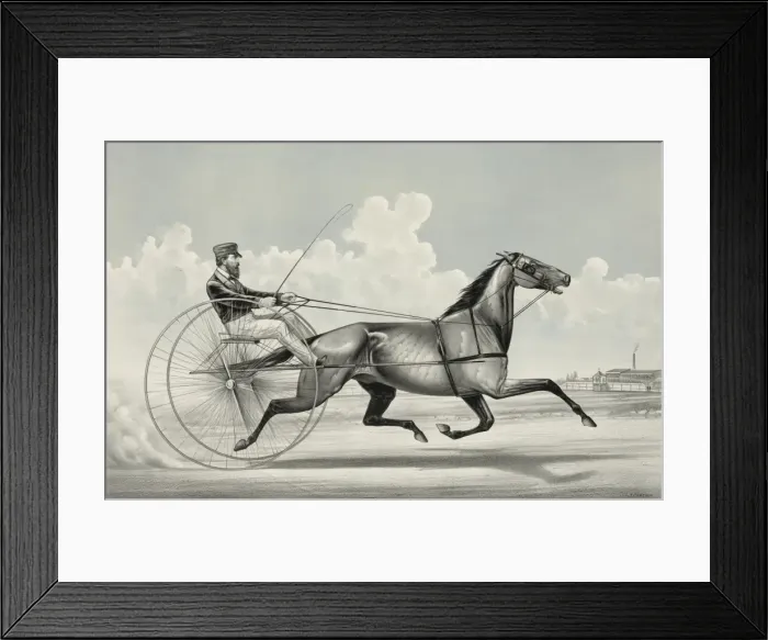 Framed Print : The trotting horse George Palmer driven by C. Champlin
