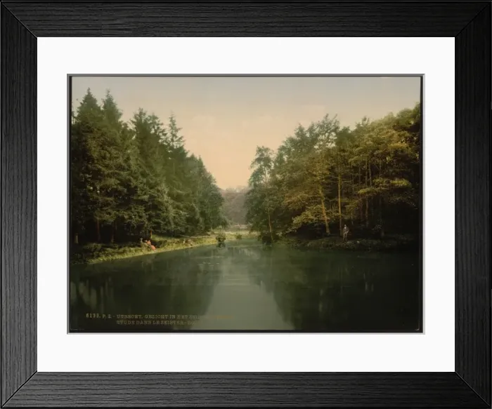 Framed Print : In Zeister Wood, Utrecht, Holland Framed Print : In Zeister Wood, Utrecht, Holland
