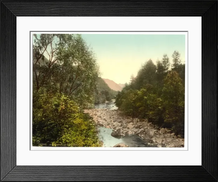 Framed Print : Borrowdale Birches, I. Lake District, England Framed Print : Borrowdale Birches, I. Lake District, England
