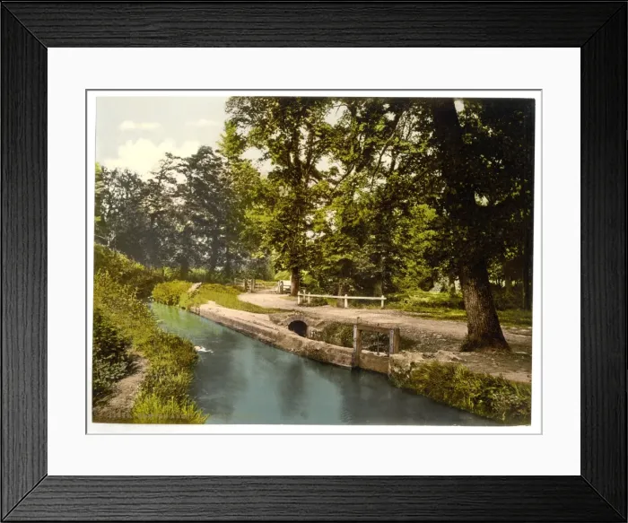 Framed Print : Bradley Woods, Newton Abbott, England Framed Print : Bradley Woods, Newton Abbott, England