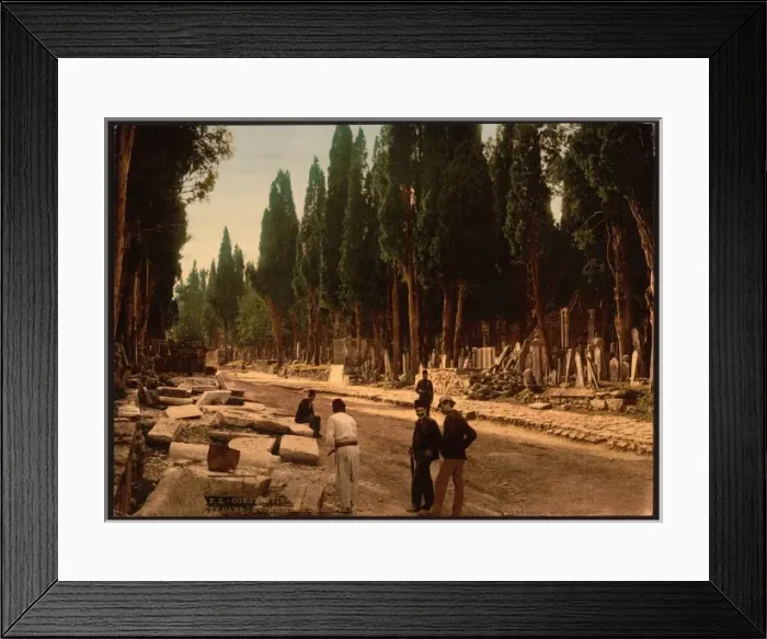 Framed Print : Cypresses and road leading to the cemetery, Scutari, Constan Framed Print : Cypresses and road leading to the cemetery, Scutari, Constan