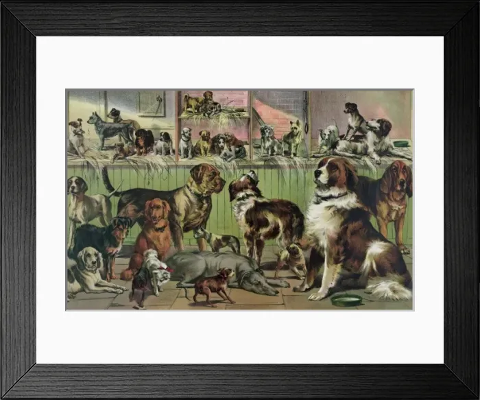 Framed Print : House, kennel and field Framed Print : House, kennel and field