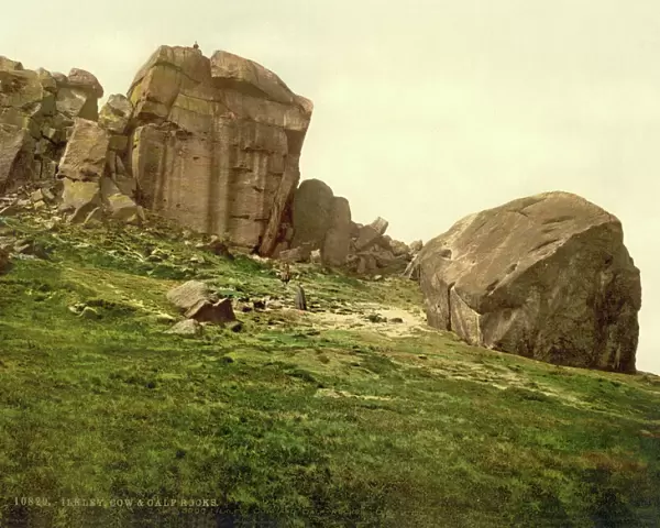 Cow and Calf Rocks, Ilkley, England