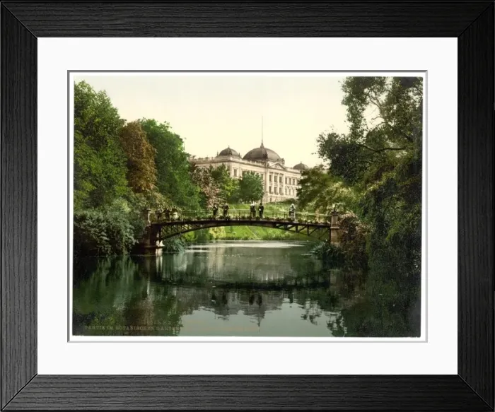 Framed Print : Scene in the Botanical Gardens with Director of Customs Buil Framed Print : Scene in the Botanical Gardens with Director of Customs Buil