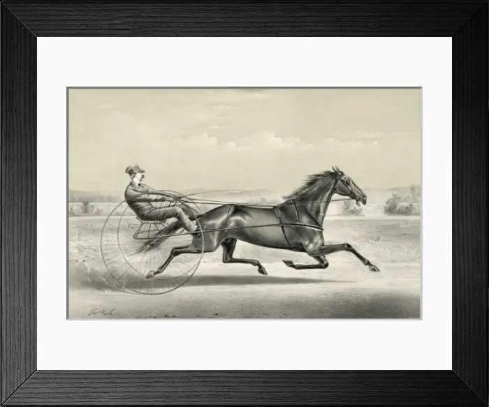 Framed Print : Occident: (formerly Wonder) brown gelding, by pacing stalli Framed Print : Occident: (formerly Wonder) brown gelding, by pacing stalli