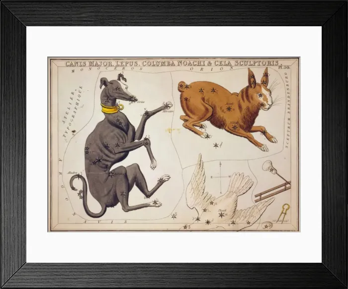 Framed Print : Canis Major, Lepus, Columba Noachi & Cela Sculptoris Framed Print : Canis Major, Lepus, Columba Noachi & Cela Sculptoris