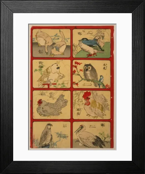Framed Print : Various types of birds Framed Print : Various types of birds
