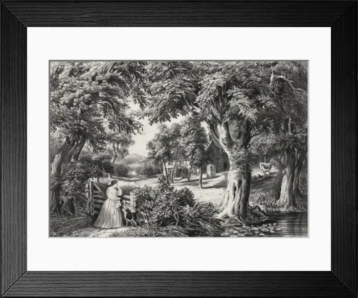 Framed Print : My cottage home Framed Print : My cottage home