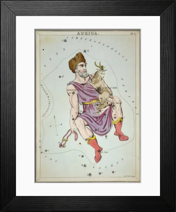 Framed Print : Auriga. Astronomical chart showing Auriga the Charioteer holding a ram, two ewes Framed Print : Auriga. Astronomical chart showing Auriga the Charioteer holding a ram, two ewes