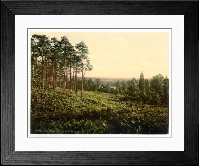 Framed Print : Brackendale, Estade, Camberley, England Framed Print : Brackendale, Estade, Camberley, England