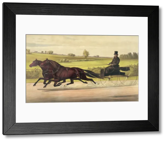 Framed Print : Mr. William H. Vanderbilts celebrated team Small Hopes Framed Print : Mr. William H. Vanderbilts celebrated team Small Hopes