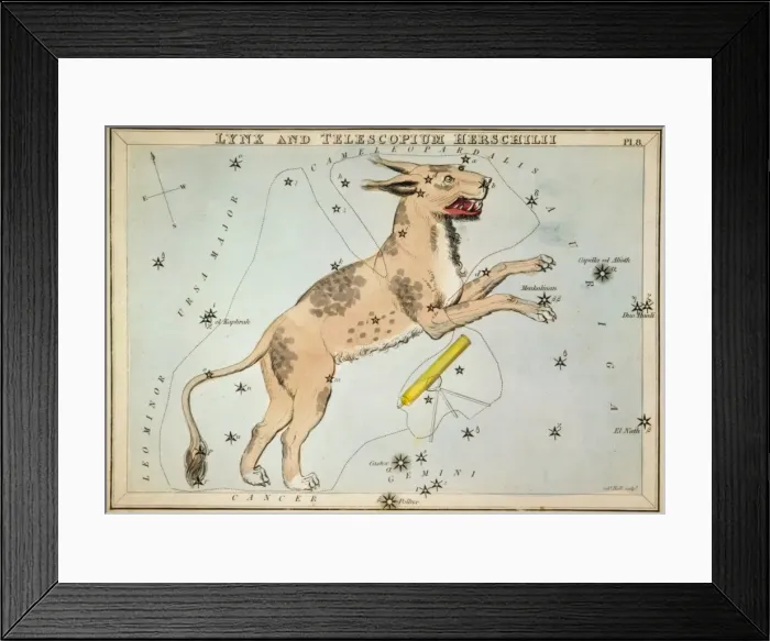 Framed Print : Lynx and Telescopium Herschilii