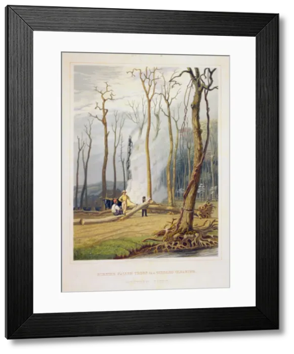 Framed Print : Spring--Burning fallen trees in a girdled clearing--Western Framed Print : Spring--Burning fallen trees in a girdled clearing--Western