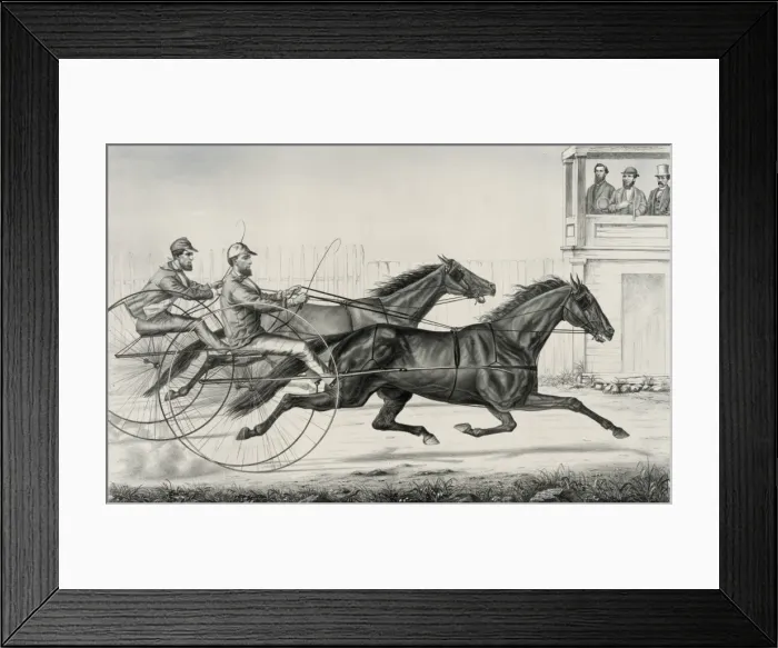 Framed Print : Goldsmith Maid and American Girl: in the brush home of their Framed Print : Goldsmith Maid and American Girl: in the brush home of their